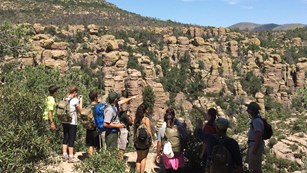 A ranger points out rock formations to a group of visitors.