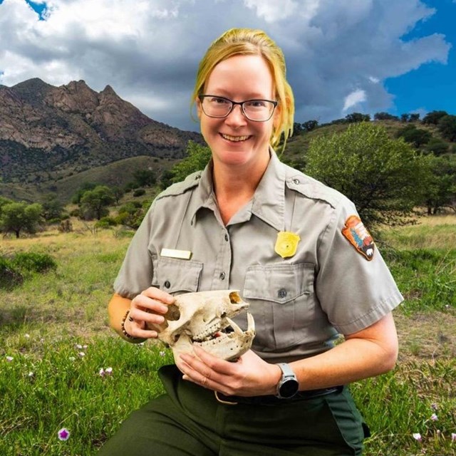 park ranger sitting on a stool holding a javelina skull with mountains in the background