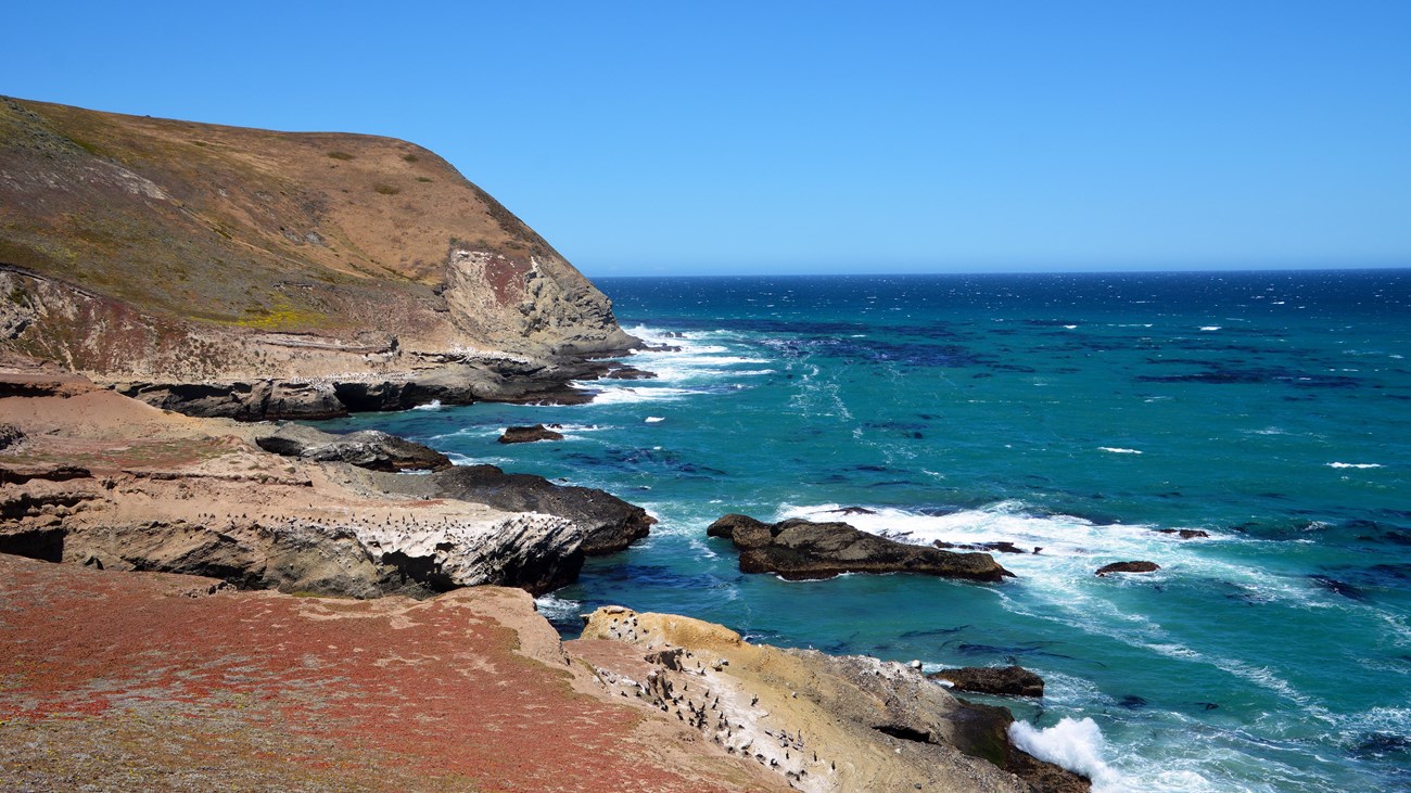steep coastal bluffs with breaking waves