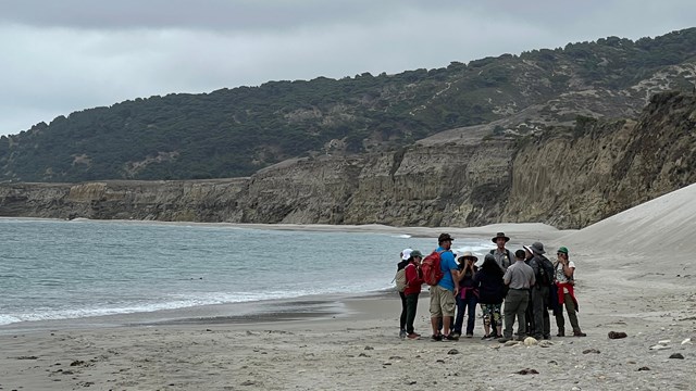 A group of teachers exploring an island beach with a ranger.