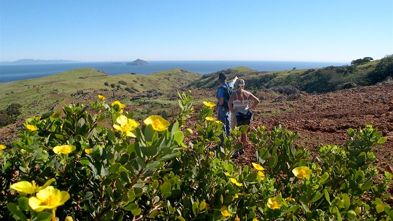 Hikers on a coastal hillside overlooking the Channel Islands
