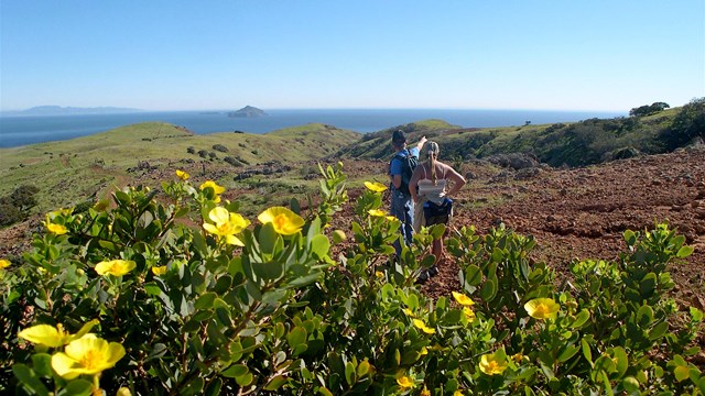 hikers standing on hillside overlooking ocean, islands, and flowers. 