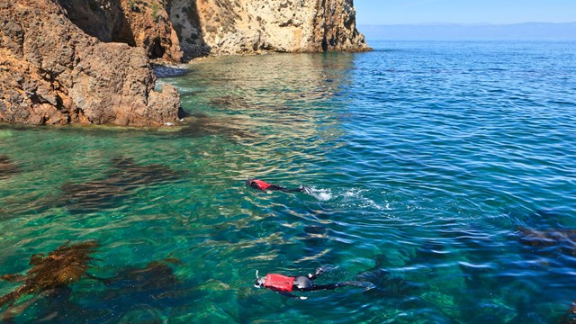 Snorkelers in blue water with kelp. ©Tim Hauf, timhaufphotography.com