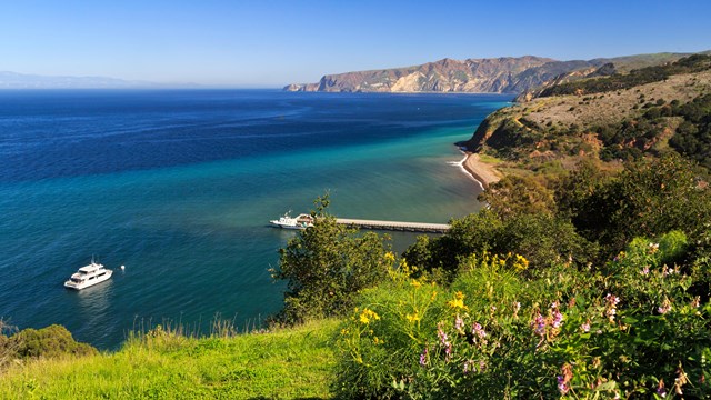 Overlooking blue water, pier, and boats from coastal bluff. ©Tim Hauf, timhaufphotography.com