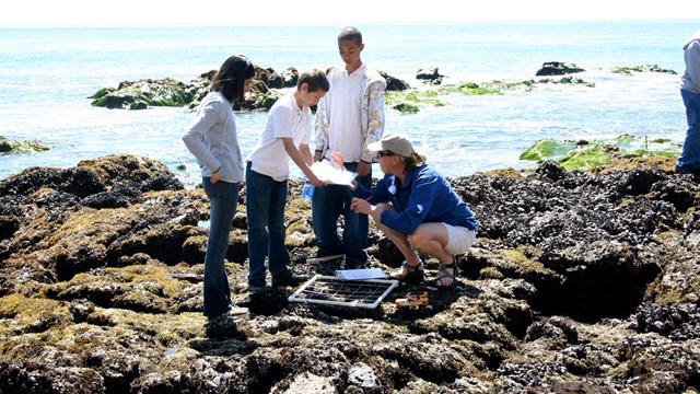 teacher with kids at tidepools. 