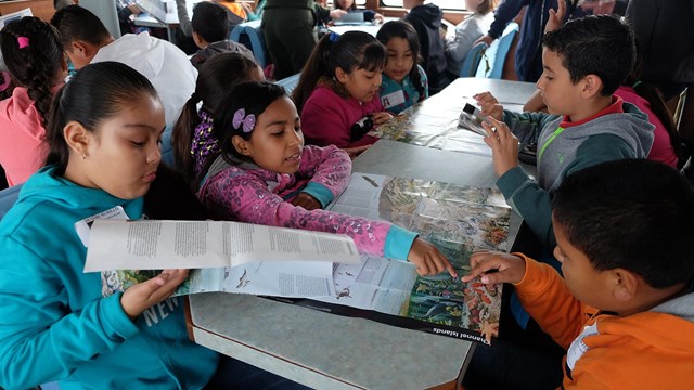 Students studying the park map. 