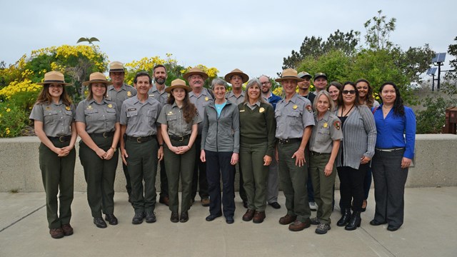 Rangers standing in front of yellow flowering plants. 