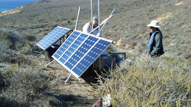 Staff installing solar panels for bald eagle webcam.