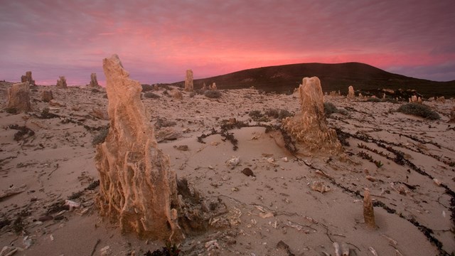 Caliche forest at sunset. ©Tim Hauf, timhaufphotography.com