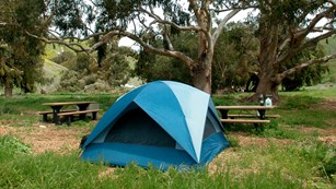 Blue tent in campground with trees. © Kathy de-Wet Oleson