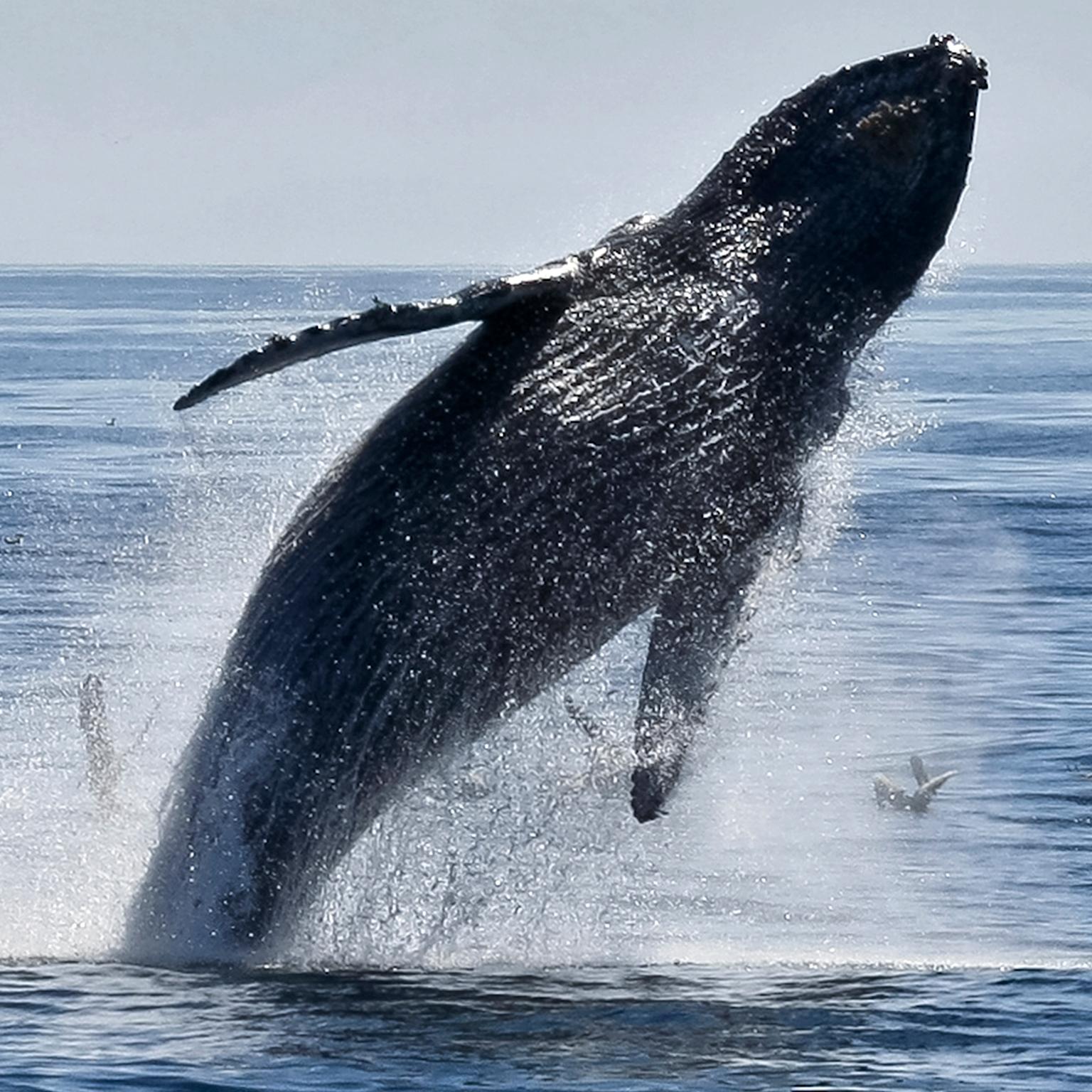 ©Tim Hauf, timhaufphotography.com