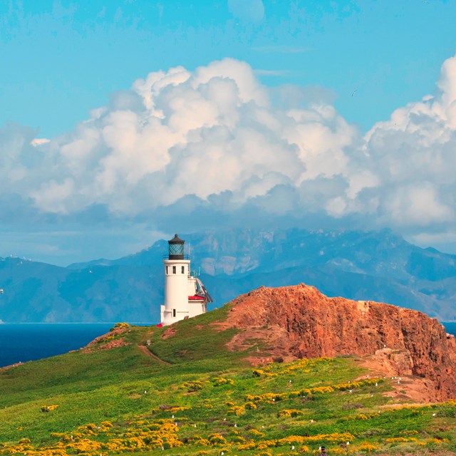 White lighthouse on steep cliff overlooking blue ocean. ©Tim Hauf, timhaufphotography.com