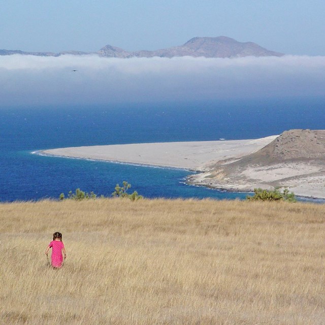 Visitor walking on grassy hill overlooking ocean. © Kathy de-Wet Oleson