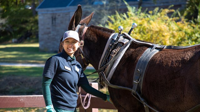Intern smiling next to a mule.