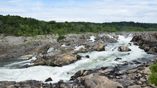 Water flowing over Great Falls