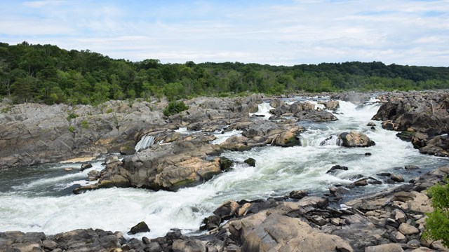 Landscape view of water crashing down the rocky Great Falls of the Potomac.