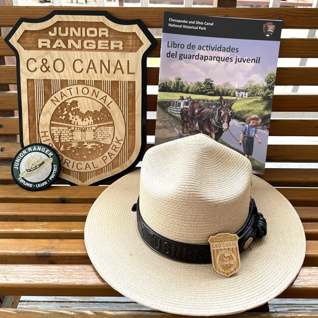 Junior Ranger Badge, book, patch, and ranger flat hat