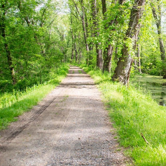 Towpath at Mile Marker 44