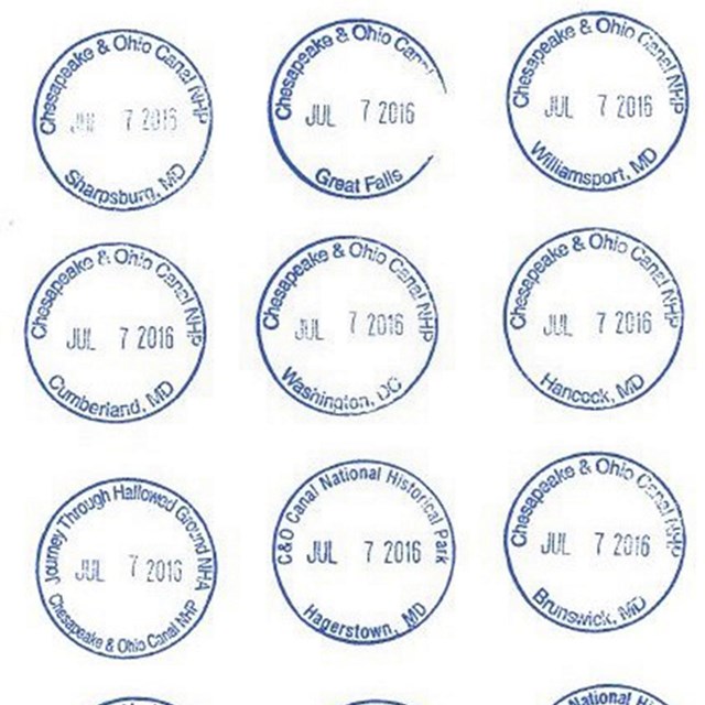 A collection of round passport stamps with blue ink.