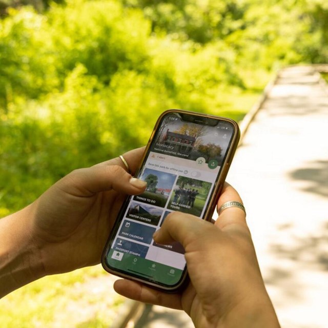 NPS App Logo