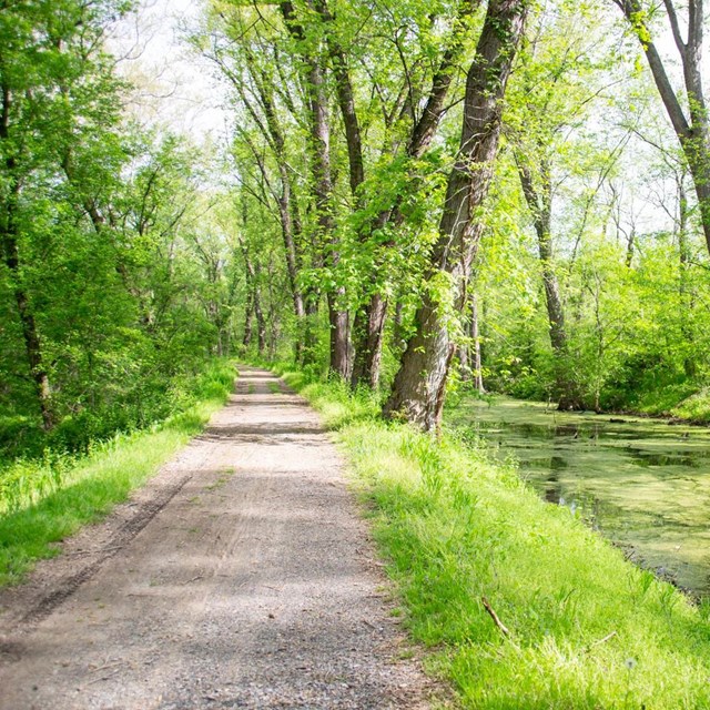 Towpath Mile 40