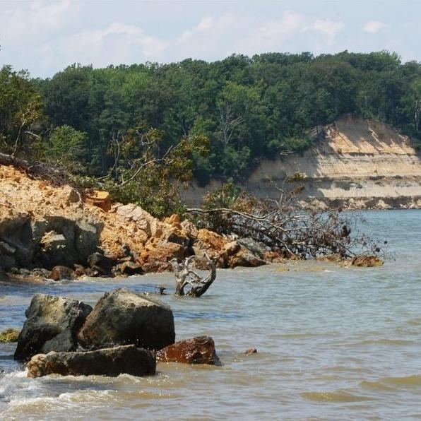 Scenic view at Calvert Cliffs near the shore.