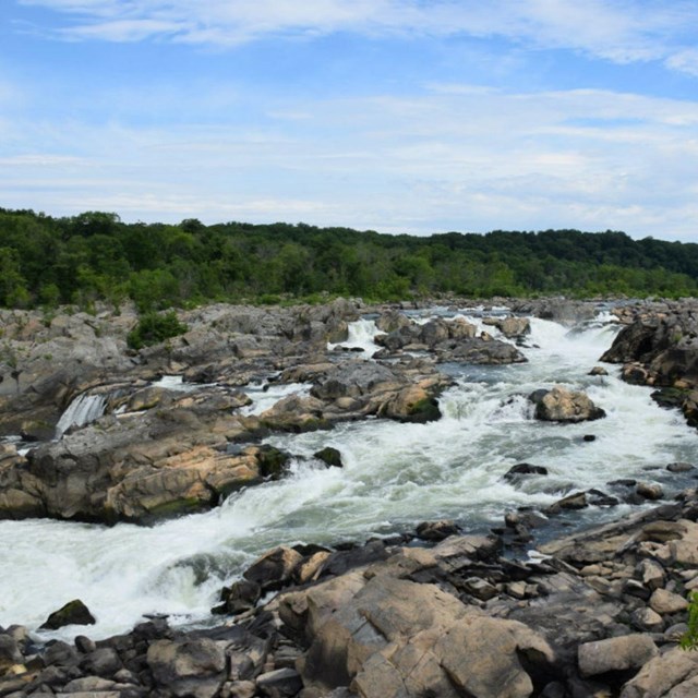 Scenic view of the Potomac Gorge at Great Falls.