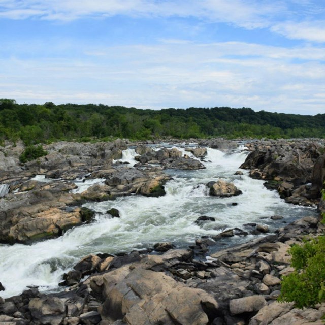 Scenic view of the Potomac Gorge at Great Falls.