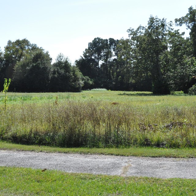 Visit the Gullah Geechee Cultural Heritage Corridor Commission's website.