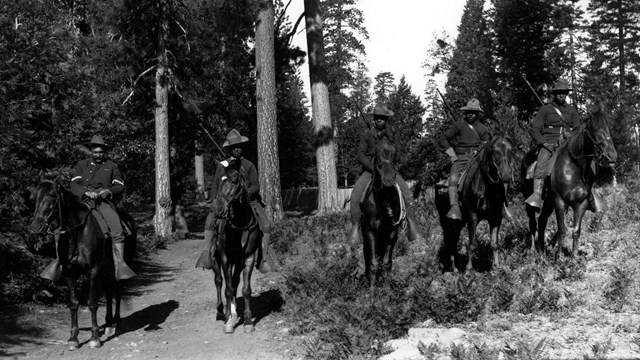 Five Black soldiers mounted atop horses in a forest posing for an image