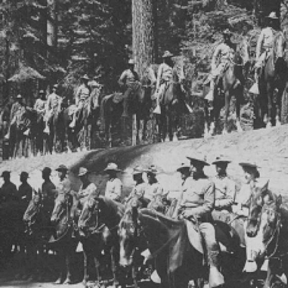 Several black soldiers on horses which are atop a large, fallen tree