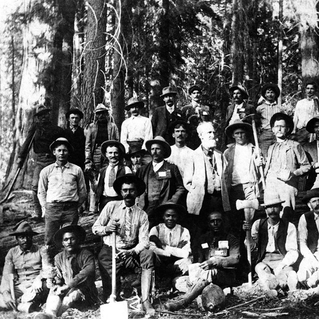 Several Black and white men sitting and standing in a grove of large trees