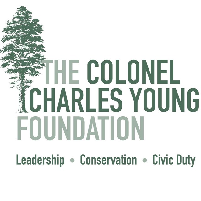 Text spelled out showing The Colonel Charles Young Foundation next to a tall, vertical tree