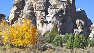 Granite pinnacles with Aspen and Juniper Trees.