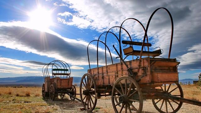 Two covered wagons.