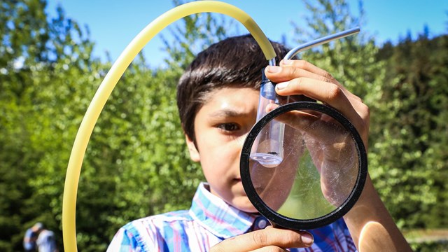 a boy looks at a bug with a magnifying glass