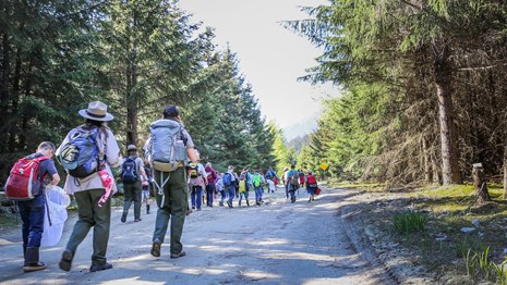 Rangers and students walk along a dirt road in the forest