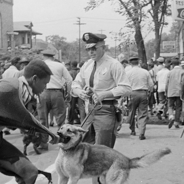 A white police officer's dog attacks a black man on the street.  Black and White Photo.