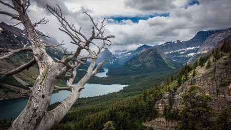 A white dead tree in the foreground overlooks a spectacular mountain valley with lake