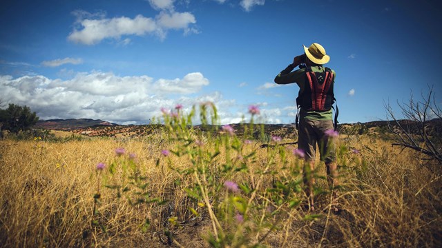 A person in a field looks through a binoculars into distance on a sunny day