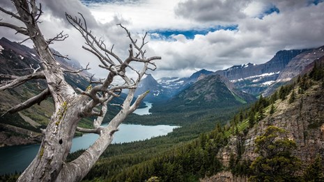 View of lake-filled mountain valley on cloudy day, with dead tree in foreground
