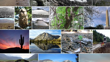 Collage of national park photos