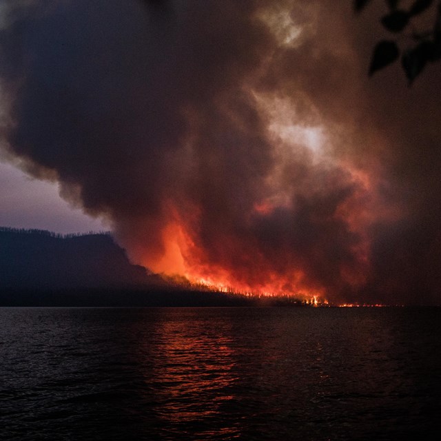 At night, a view across a lake to an orange glow of flames rising from a dark forest