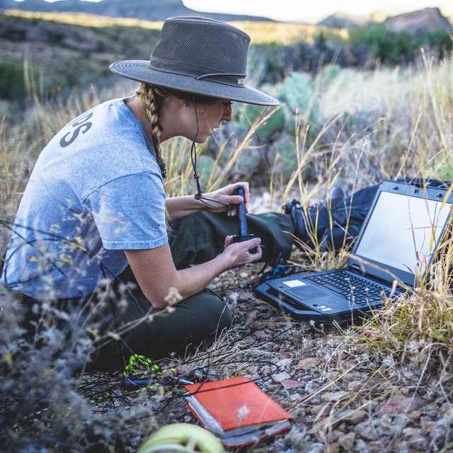 A researcher in brushy, rocky field works with a laptop and other electronic tools