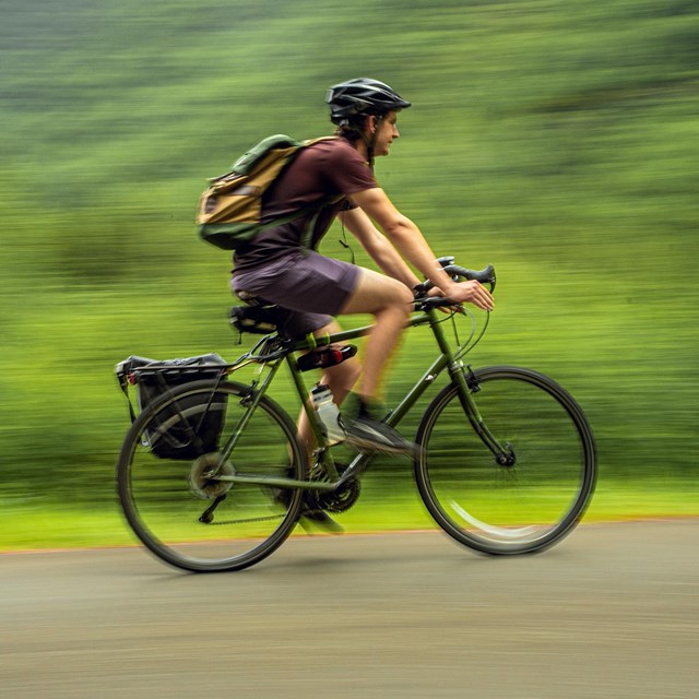 A cyclist rides on pavement in front of a blurry forested background, giving the impression of speed