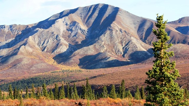 Landscape view of mountains and forest with a small moose in the distance