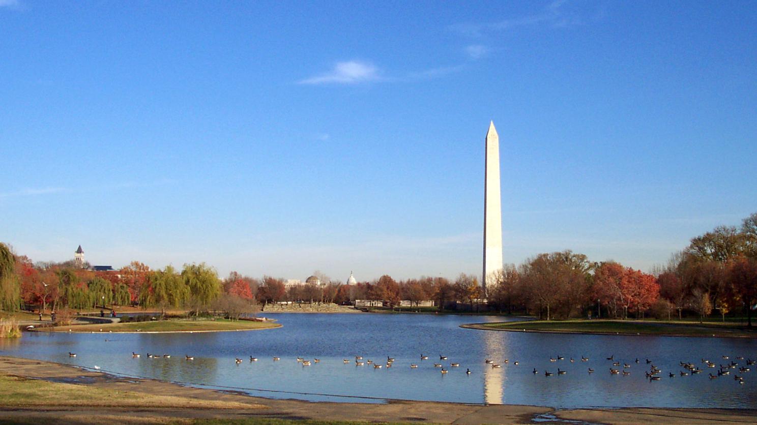A shallow lake with geese swimming in it, in front of the Washington Monument obelisk in mid-autumn