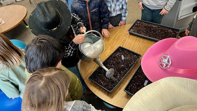 students in hats water trays of soil in a classroom
