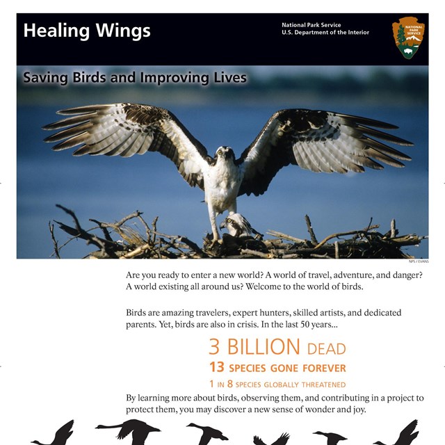 The national park banner with an osprey spreading its wings.