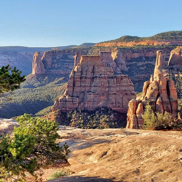 towering canyon monoliths in morning sunlight